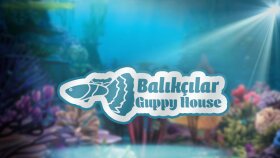 Balıkçılar Guppy House