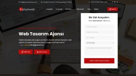 Web Tasarım
