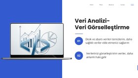 verilerinizi düzenler, temizler ve görselleştiririm