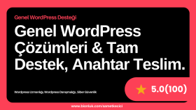 sizin için wordpress ile ilgili tüm yardımı sunabilirim