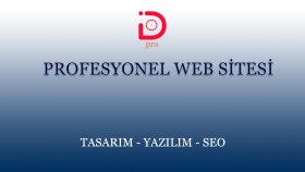 profesyonel sitenizi yaparım