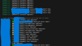 Projedeki Mongodb Hataları Çözümünde Yardım.