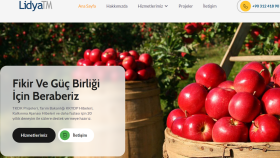 Lidya Danışmanlık - Web Site İçerikleri