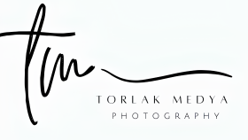 modern 3D logo tasarımı yaparım