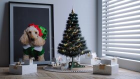 3d modelleme ve animasyon yapabilirim