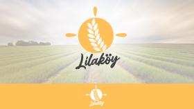 Örnek Logo Paketi