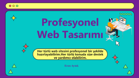 profesyonel şekilde web sitesi hazırlayabilirim
