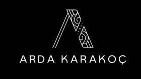 profosyonel olarak logo tasarımı yapıyorum