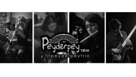 Peyderpey Trio banner