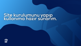 WordPress web sitenizi anahtar teslim hazırlarım