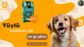 sizin için profesyonel reklam banner tasarımları yapabilirim