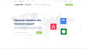 LinguaVibe
