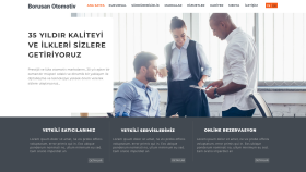 Borusan Otomotiv WEB UI/UX Çalışması