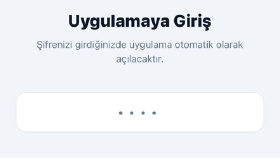 Özel yazılım 
