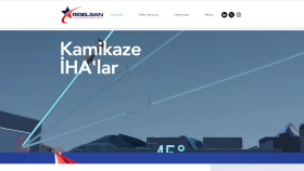 RigelSan Savunma Sanayi