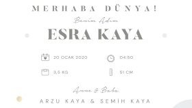  Baby Shower Tasarımı Yapabilirim