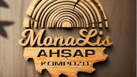 profesyonel minimalist kurumsal ve vektörel logo tasarlarım