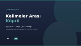 Anlamı Kaybetmeden Çeviri: Bir Örnek Çalışma