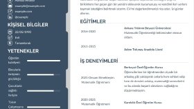 Göz Alıcı Cv Tasarımları 
