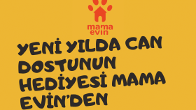 İş örneğim