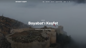 mobil uyumlu,seo dostu, profesyonel websitesi yaparım