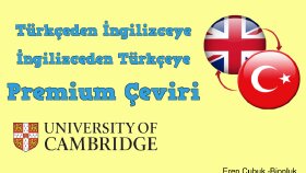 Çeviri Hizmetleri