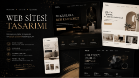 Profesyonel Web Sitesi Tasarımı