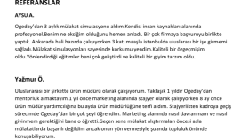 işe alım danışmanı ve mentorum