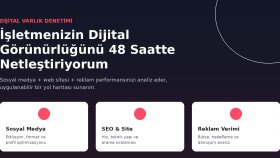 dijital varlık denetimi ve raporlama yaparım