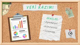 C# veya Python ile özel web veri kazıma çözümleri sunarım