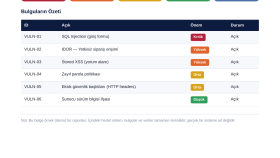 web site ve android apk için pentest yapabilirim
