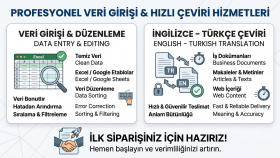 profesyonel veri girişi ve hızlı metin çevirisi yaparım