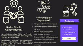 web site ve web tasarımı yaparım