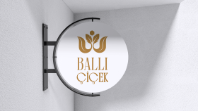 profesyonel hikayeli logo tasarımı yapabilirim