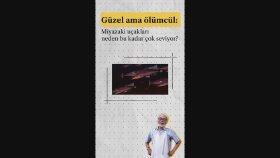 Reels içeriği