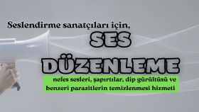 ses dosyalarınızı düzenlerim