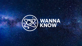 Wanna Know™  - Marka Kimliği Tasarımı