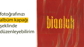 size bir albüm kapağı yapabilirim