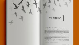 kitap mizanpajı ve dizgi tasarımı yapabilirim
