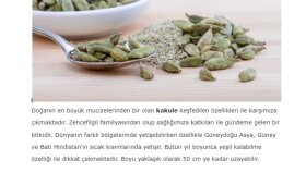 Özgün, Kaliteli ve SEO Uyumlu İçerikler!