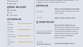 Göz Alıcı Cv Tasarımları 