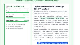 SEO uyumlu, %100 özgün blog ve makale içerikler yazarım