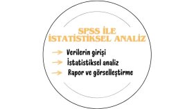 SPSS ile istatistiksel analiz yaparım