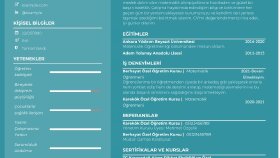 Cv Tasarımları 2