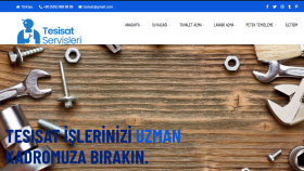Profesyonel Web Tasarımı 