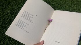 Özgün Yaratıcı Metin Yazarlığı
