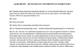 ses ve video kayıtlarınızı hatasız deşifre ederim