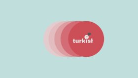 Logo İntro Çalışmaları