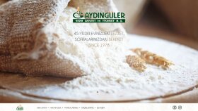 Profesyonel Un Fabrikası Sitesi