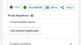 Web Sitemden SEO Uyumlu İçerik Örneği
